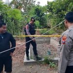 Bersihkan Rumput di Sawah, Petani Situbondo Temukan Granat Aktif 