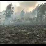Ratusan Hektar Hutan Gunung Argopuro Situbondo Terbakar