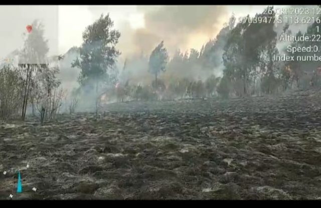 Ratusan Hektar Hutan Gunung Argopuro Situbondo Terbakar