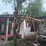 Rumah Warga Situbondo Ambruk Diterjang Hujan Deras
