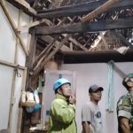 Tertimpa Pohon Tumbang, Dua Rumah Warga Situbondo Berantakan