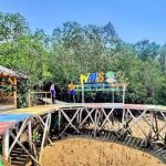 Pemkab Sampang Kembangkan Objek Wisata Mangrove