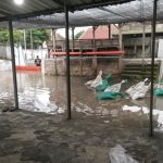 Antisipasi Banjir Bengawan Solo, BPBD Lamongan Pasang Doorlag