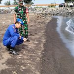 Ribuan Ekor Ikan Pelagis Ditemukan Mati di Bibir Pantai Jangkar Situbondo