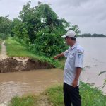 Intensitas Hujan Tinggi, Tanggul Penahan Bengawan Solo di Lamongan Jebol