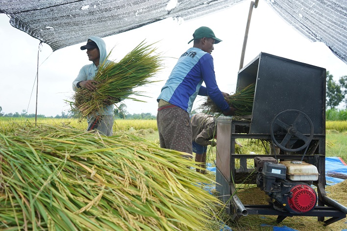 Melalui Program DITO, Produktivitas Padi di Kabupaten Kediri Terus Merangkak Naik