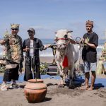 Meriahnya Festival Moda Transportasi Tradisional Pegon Watu Ulo 2024