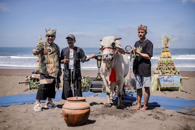 Meriahnya Festival Moda Transportasi Tradisional Pegon Watu Ulo 2024