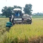 Jaga Stabilitas Harga, Bulog Sub Divre Surabaya Selatan Siap Serap Gabah Petani Saat Panen Raya