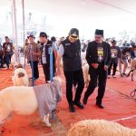 Lamongan Sukses Gelar Kontes Ternak Kambing Regional Jawa