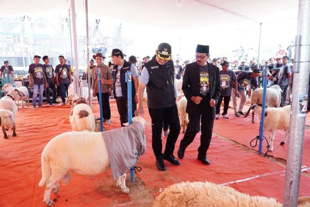 Lamongan Sukses Gelar Kontes Ternak Kambing Regional Jawa