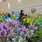 Ajang Pameran Ribuan Tanaman Anggrek di Gedung Serbaguna Jember