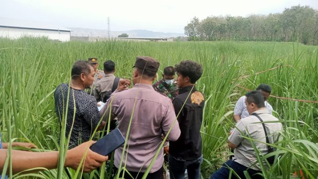 Identitas Mayat Pria dengan Bekas Jeratan di Leher Terungkap 