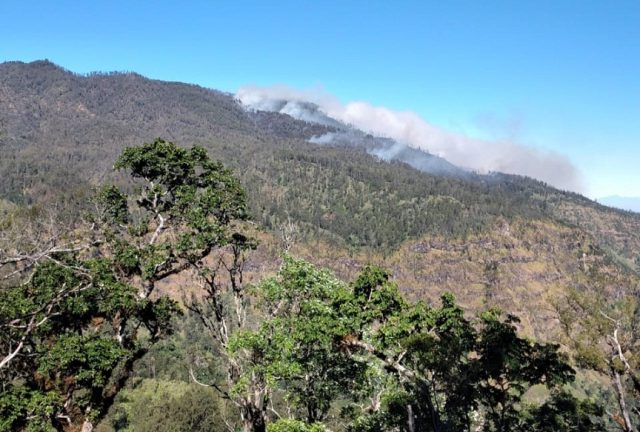 Pos Wisata Pendakian Gunung Argopuro Situbondo, BKSDA Tutup Sementara