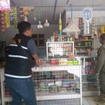 Tekan Rokok Ilegal, Satpol PP Bondowoso dan Bea Cukai Gelar Opgab di Daerah Tapen