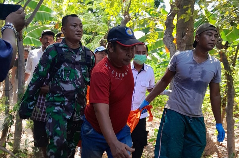 Tertimpa Pohon Kelapa Saat Pulang Merumput, Warga Gebangan Situbondo Meninggal