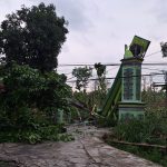 Angin Kencang Landa Tiga Desa di Lamongan, Tumbangkan Pohon dan Rusak Rumah