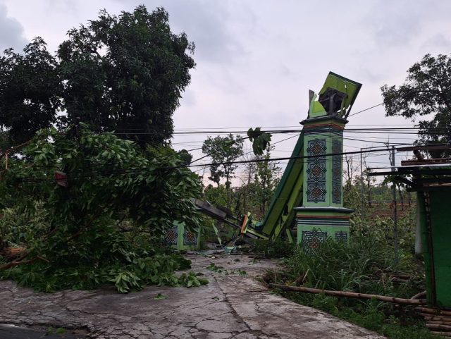 Angin Kencang Landa Tiga Desa di Lamongan, Tumbangkan Pohon dan Rusak Rumah