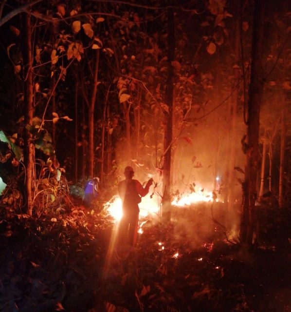 Kawasan Hutan Jati Sekitar 5 Hektar di Lereng Gunung Gedek Jember Terbakar