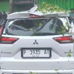 Hujan Disertai Angin Kencang di Bondowoso, Satu Unit Mobil Rusak Tertimpa Pohon