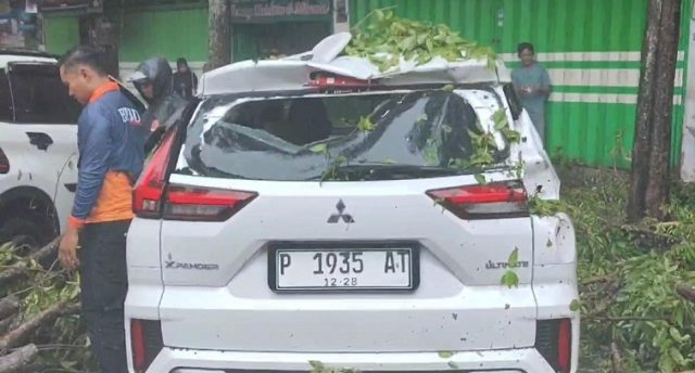 Hujan Disertai Angin Kencang di Bondowoso, Satu Unit Mobil Rusak Tertimpa Pohon