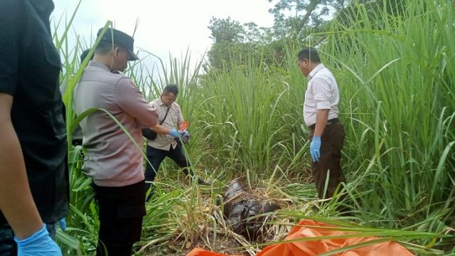 Polisi Situbondo Amankan Pria Asal Jember Terduga Pelaku Pembunuhan