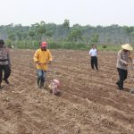 Karo SDM Polda Jatim Hadiri Tanam Jagung di Kediri, Dukung Ketahanan Pangan Nasional