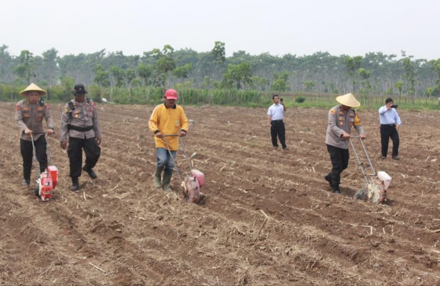 Karo SDM Polda Jatim Hadiri Tanam Jagung di Kediri, Dukung Ketahanan Pangan Nasional