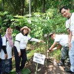 Peduli Lingkungan, Pemkot Kediri Bersama PLN dan Perhutani Tanam Pohon