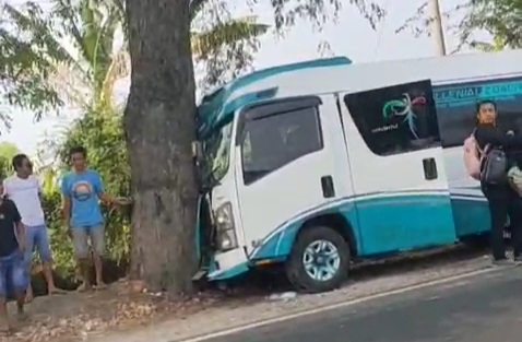 Mobil Travel Tabrak Pohon Asam di Jalur Pantura Situbondo