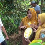 Kisah Inspiratif, Mantan TKI yang Sukses Kembangkan Kebun Durian Premium di Lamongan