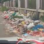 Viral Video Tumpukan Sampah di Belakang Kantor Desa Rambipuji