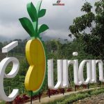 Dedurian Park Wonosalam Jombang, Destinasi Wisata Alam Sejuk dan Segar Cocok untuk Keluarga