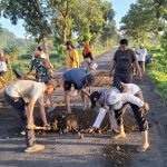 Puluhan Warga Jember, Gunakan Dana Swadaya Perbaiki Jalan Rusak