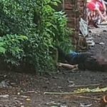 Geger! Warga Ploso Jombang Temukan Mayat Pria, Ada Luka di Bagian Wajah