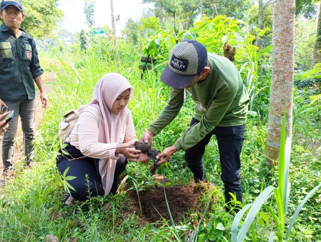 Siswa SMA Negeri 2 Jombang Kolaborasi Bersama KPH Lestarikan Hutan di Wonosalam