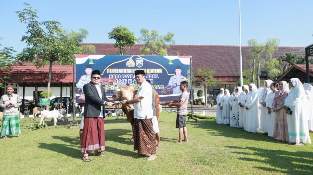 Polres Jombang Salurkan Puluhan Hewan Kurban ke Pesantren, Panti Asuhan, dan Masjid