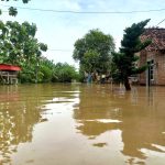 Banjir Terjang 8 Desa di Jombang, Warga Kademangan Paling Terdampak