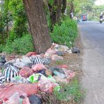 DLH Jombang Lamban Ambil Tindakan,Terkait Tumpukan Sampah Liar di Ruas Jalan Raya Mojoagung