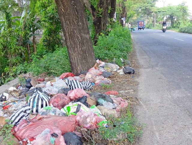 DLH Jombang Lamban Ambil Tindakan,Terkait Tumpukan Sampah Liar di Ruas Jalan Raya Mojoagung