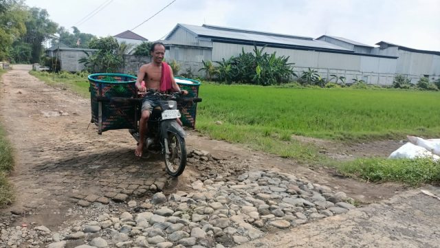 Jalan Rusak dan Sawah Terendam, Warga Mlaras Jombang Desak Pemerintah Bertindak