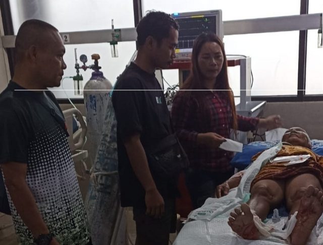 Monyet Liar Serang Pemukiman Warga Situbondo, Tiga Lansia Terluka 