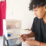 Berawal dari Hobi, Pemuda Asal Jombang Sukses Budidayakan Hewan Gecko