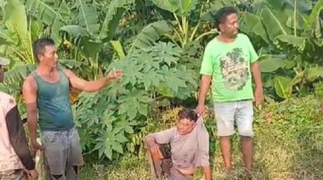 Gagal Mencuri, Seorang Pria di Situbondo Nyonyor Dihajar Massa 