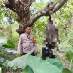 Warga Geger! Jasad Pemuda Hilang Sebulan Ditemukan Tergantung di Hutan Kesamben Jombang
