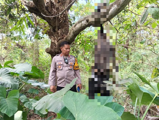 Warga Geger! Jasad Pemuda Hilang Sebulan Ditemukan Tergantung di Hutan Kesamben Jombang