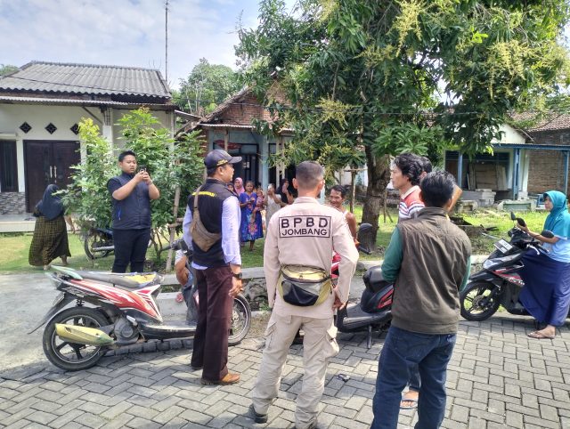 Teror Monyet Liar di Jombang: Tanaman Rusak, Warga Terluka