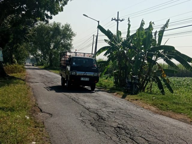 Warga Keluhkan Jalan Rusak dan Gelap di Watu Dakon, Pemkab Jombang Janji Segera Perbaiki