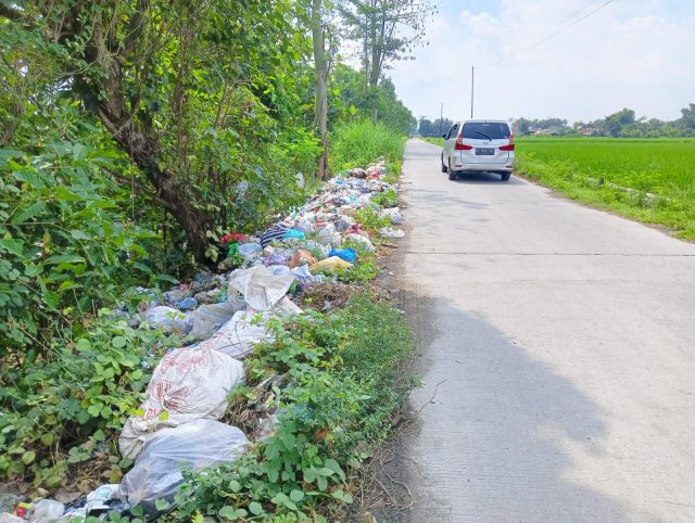 DLH Jombang Kewalahan, Sampah Liar Kembali Menumpuk di Jalan Raya Tengaran