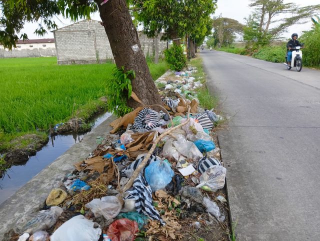Sampah Menumpuk di Jalan Raya Sumberjo, Warga Soroti Lemahnya Penanganan Pemkab Jombang